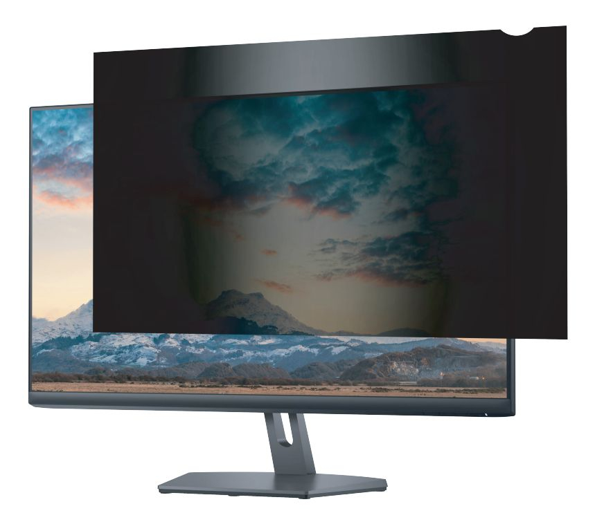 eSTUFF Blickschutzfilter 55" 16:9 Schwarz