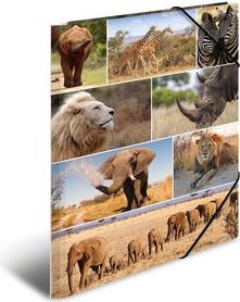 HERMA 19222 Pappe Mehrfarben Aktendeckel (19222)