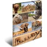 HERMA 19222 Pappe Mehrfarben Aktendeckel (19222)