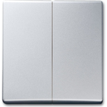 BUSCH-JAEGER Wippe Serien 2105-33 AW44 alusilber 2105-33 (2105-33)