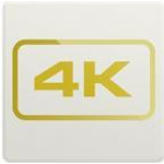 Epiphan Pearl-2 4K Addon (ESD) (ESP1205)