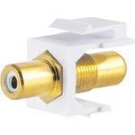 shiverpeaks ®-BASIC-S--Keystone Verbinder Cinch-Buchse vergoldet, weiß (BS08-10065)