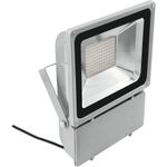 EUROLITE LED IP FL-100 3000K (51914782)