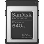 SanDisk PRO-CINEMA Flash-Speicherkarte (SDCFEC-640G-GN4NN)
