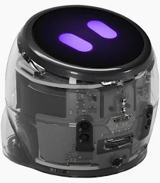 Ozobot MINT Coding Roboter "Ari Entry Kit (50101ARI)