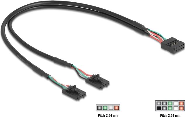 Delock Kabel USB 2.0 Pfostenbuchse 2.54 mm 10 Pin zu 2 x 2.0 2.54 4 (84513)