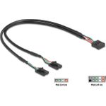 Delock Kabel USB 2.0 Pfostenbuchse 2.54 mm 10 Pin zu 2 x 2.0 2.54 4 (84513)