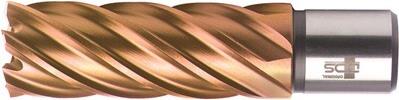 BDS Kernbohrer HSSVarioPLUS 24,0mm Schnitttiefe 55mm Weldon-Aufnahme (KBL-VP024)