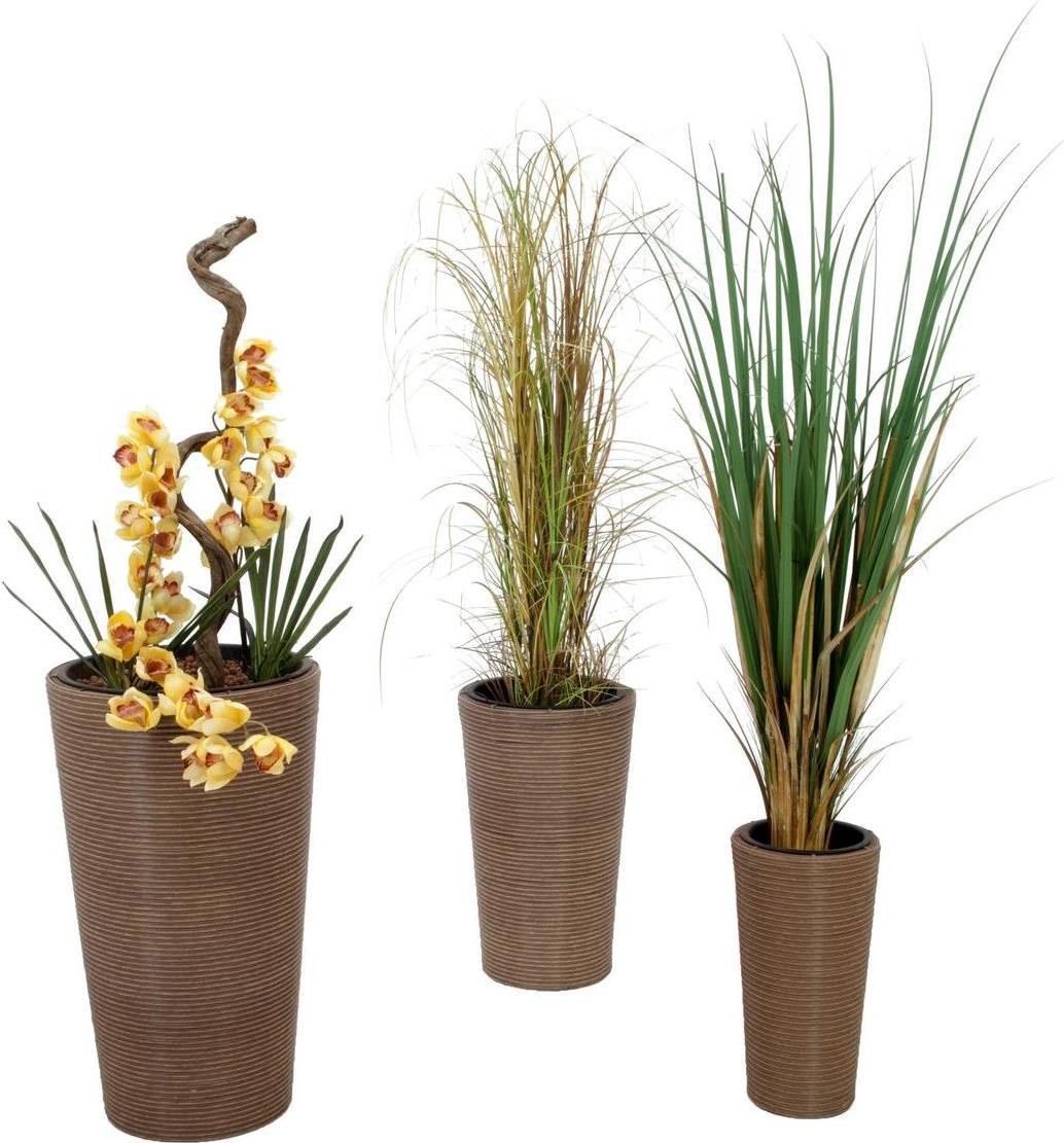 EUROPALMS Dekotopf-Set "INDIA" 74/54/44cm (83011268)