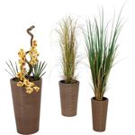 EUROPALMS Dekotopf-Set "INDIA" 74/54/44cm (83011268)