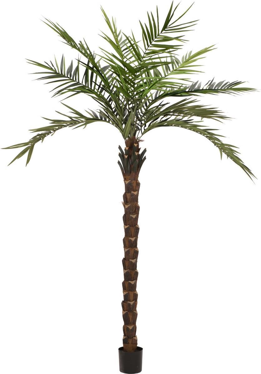 EUROPALMS Kentia Palme deluxe, Kunstpflanze 300cm (82511370)