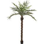 EUROPALMS Kentia Palme deluxe, Kunstpflanze 300cm (82511370)