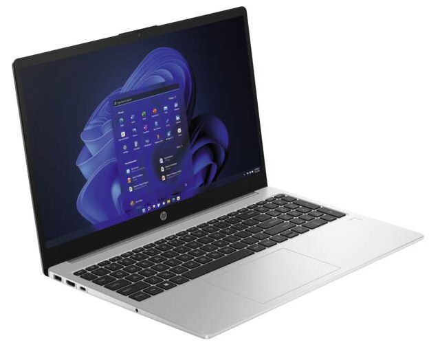 HP 250 G10 15,6" Notebook Intel N100 8 GB RAM 256 GB SSD Silber