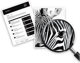 Image of HP 308e EvoMore Black Original Ink Cartridge - Original - Tintenpatrone (7FP22UE#SE1)