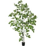 EUROPALMS Birkenbaum, Kunstpflanze, 180cm (82505231)