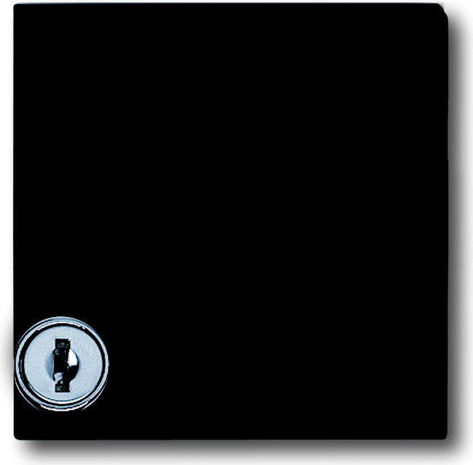 BUSCH-JAEGER Zwischenring m. Schloss 2118GKSL-35 IP44 Allwetter anthrazit 2118GKSL-35 (2118GKSL-35)