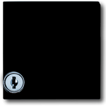 BUSCH-JAEGER Zwischenring m. Schloss 2118GKSL-35 IP44 Allwetter anthrazit 2118GKSL-35 (2118GKSL-35)