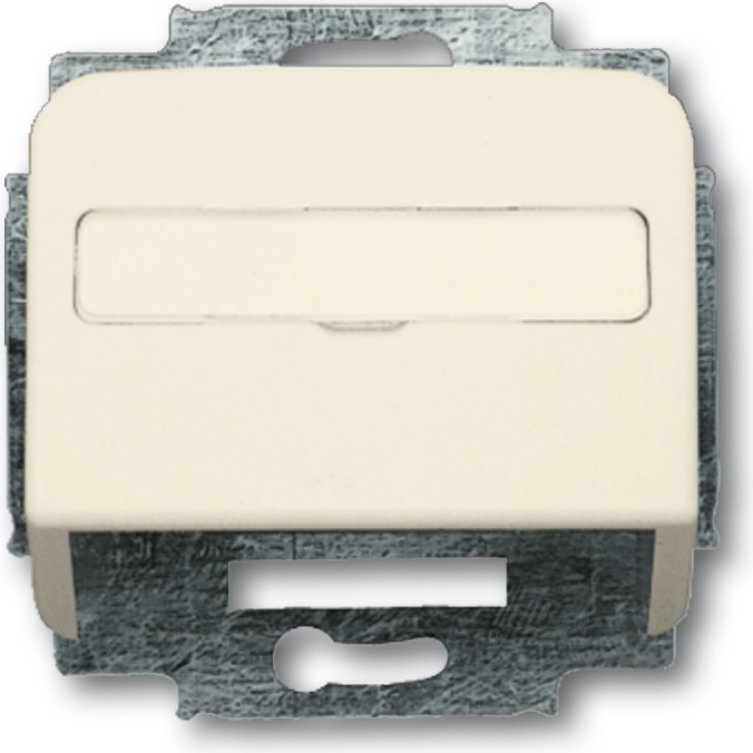 Busch Jaeger 1724-0-1002 Wandplatte/Schalterabdeckung Beige - Silber (1724-0-1002)