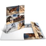 HERMA 19209 Pappe Mehrfarben Aktendeckel (19209)