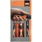 Bahco 1-478-10-1-2 Ergo Feilensatz 5 -Tlg 250mm Hieb 1 & 2 1 St. (1-478-10-1-2)