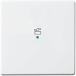 Busch-Jaeger 6220-0-0043 Abdeckplatte für Sensorhalterung & -sockel Weiß (2CKA006220A0043)