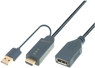 M-Cab 6060013 Videokabel-Adapter 0,3 m HDMI + USB DisplayPort Schwarz (6060013)