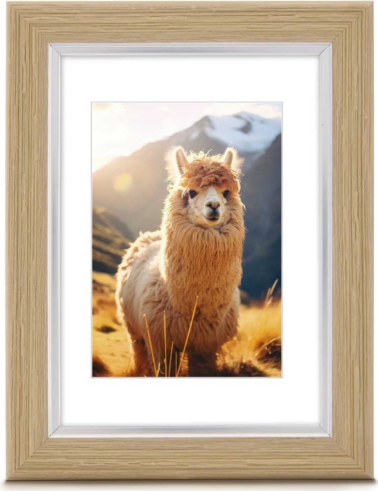 Hama Kunststoffrahmen Lima, Eiche, 15 x 20 cm (00193225)