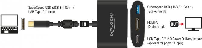 DeLOCK Externer Videoadapter (62991)