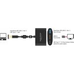 DeLOCK Externer Videoadapter (62991)