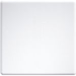 Eltako Wippe lasergraviert reinweiß glänzend W-F2T55E-wg#30055966 (30055966)