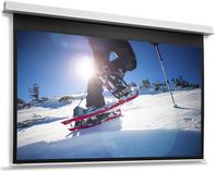 Projecta DescenderPro (10104796)