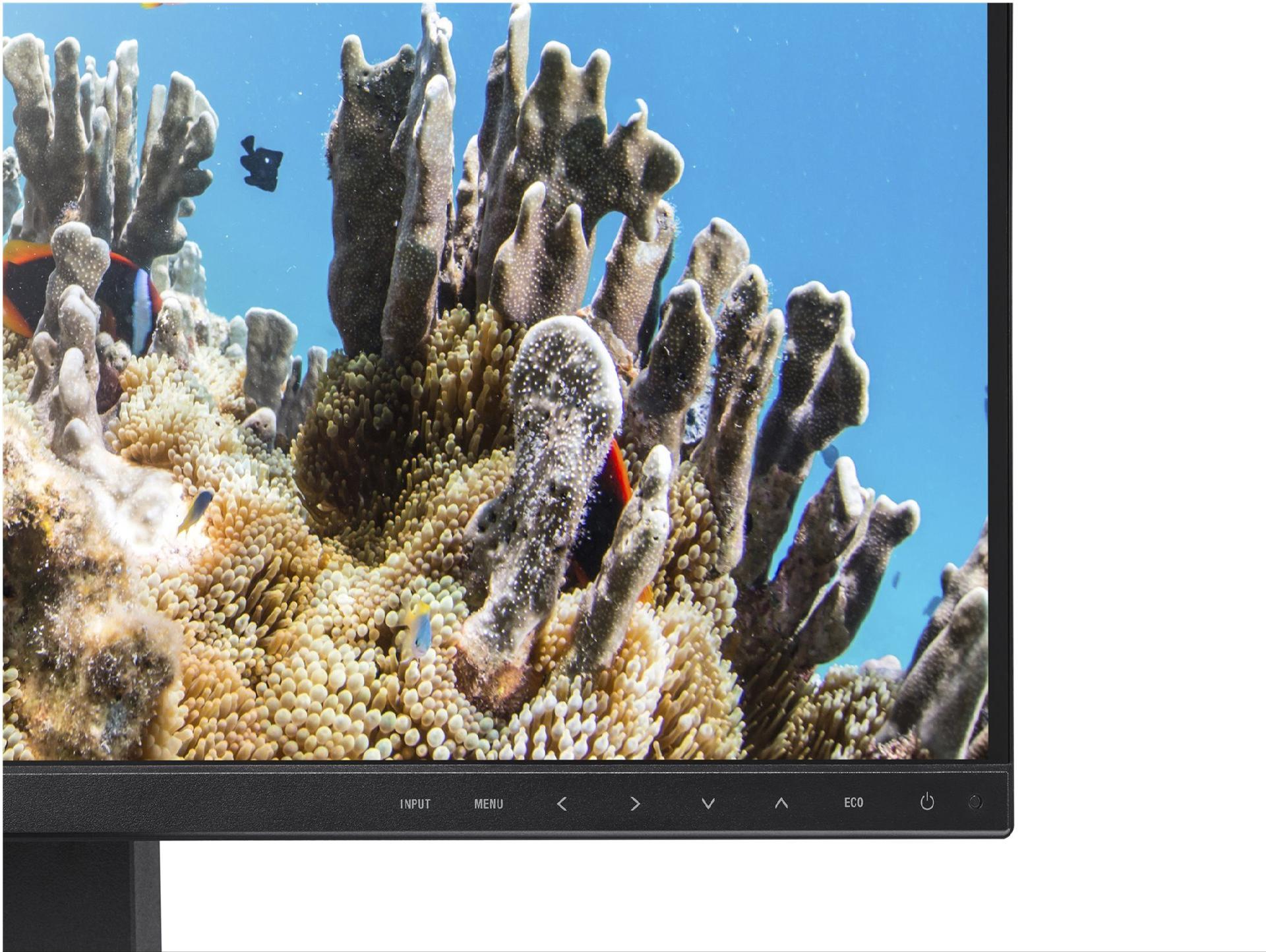 Sharp MultiSync EA242W 24" WUXGA IPS-Monitor 1920x1200 HDMI DP USB-C höhenverstellbar Schwarz