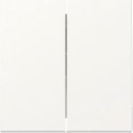 GIRA Wippe 329527 2f Sys.55 rws m (329527)