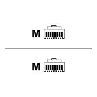 Rittal DK CMC III CAN-Bus connection cable (7030.092)
