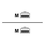 Rittal DK CMC III CAN-Bus connection cable (7030.092)