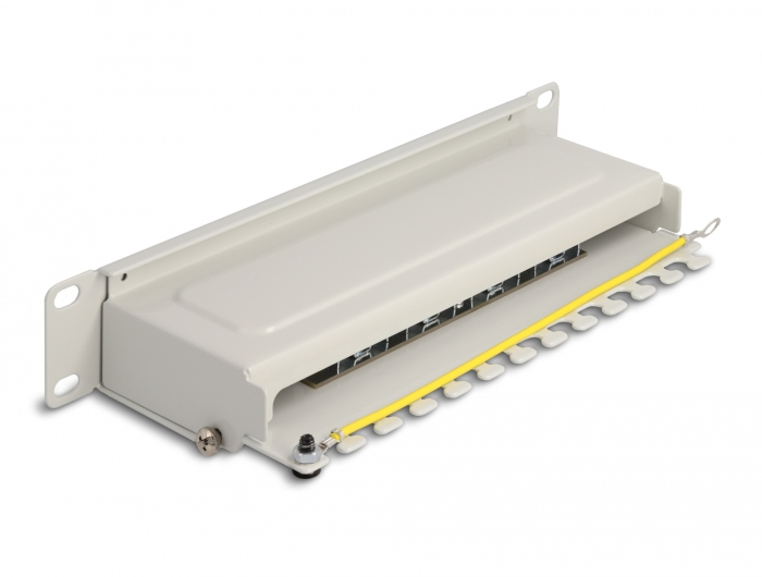 Delock Patchpanel 10" 8 Port Cat.6A 1 HE Grau