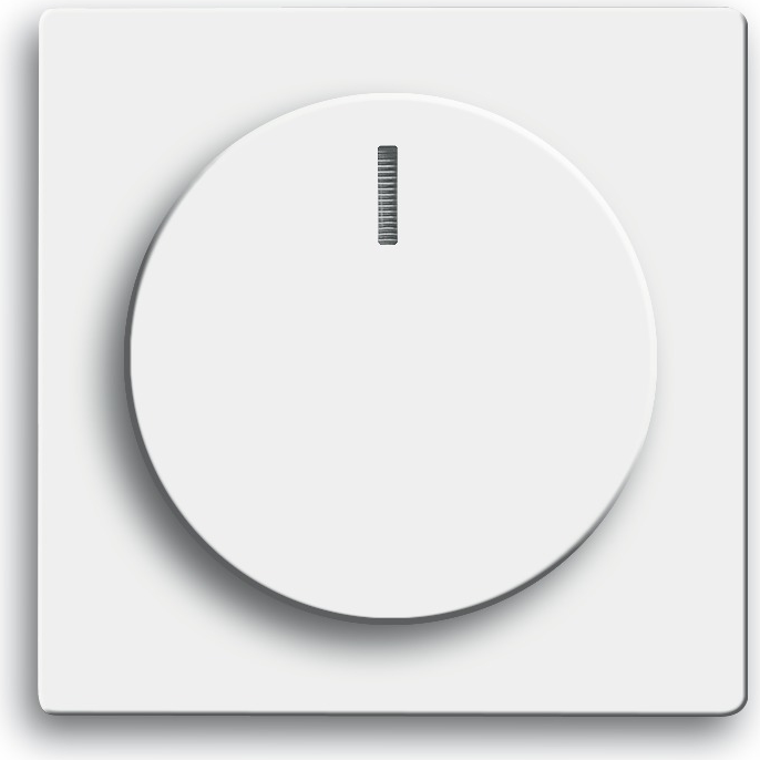 BUSCH-JAEGER Zentralscheibe 6540-84-102 future linear davos/studioweiss 6540-84-102 (6540-84-102)