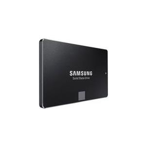 Samsung SSD 120GB 2.5" (6.3cm) SATAIII 750 EVO Ser. Basic retail (MZ-750120BW)