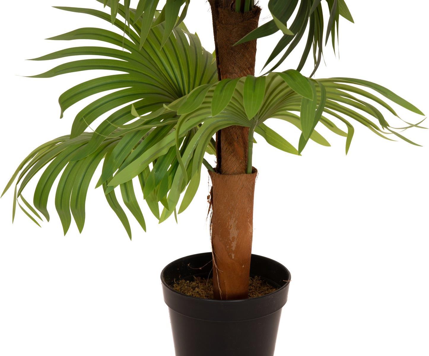 EUROPALMS Fächerpalme, Kunstpflanze, 130cm (82509302)