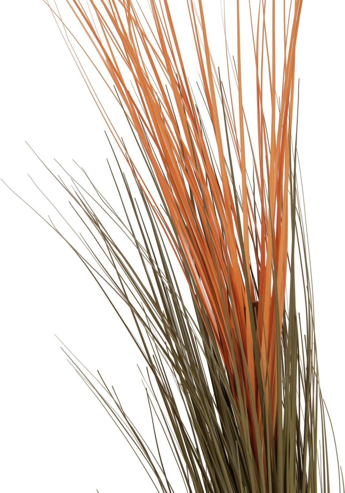 EUROPALMS Schilfgras, künstlich, hellbraun, 127cm (82505852)