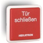 Hekatron Vertriebs GmbH Handauslösetaster HAT 02 Auf-/Unterputz (6500143)