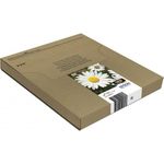 Epson T1806 Easy Mail Packaging (C13T18064511)