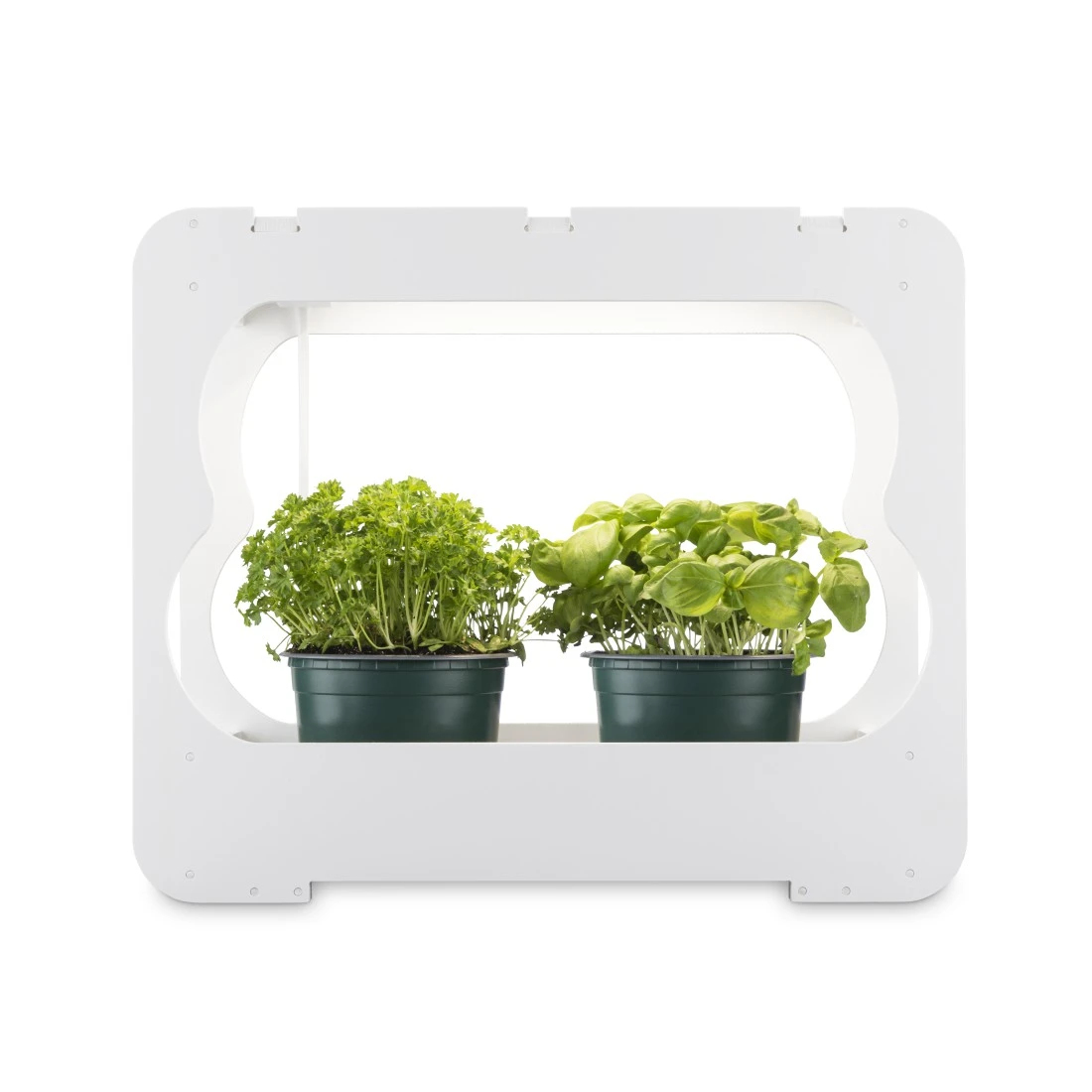 XAVAX Gewächsstation mit LED-Pflanzenlampe 14 W 4000 K Weiß