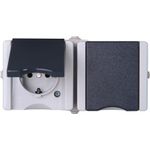 Schutzkontakt-Steckdose 2-fach waagerecht, verdrahtet, AP-Feuchtraum proAQA grau 16 A, 250 V (950655000)