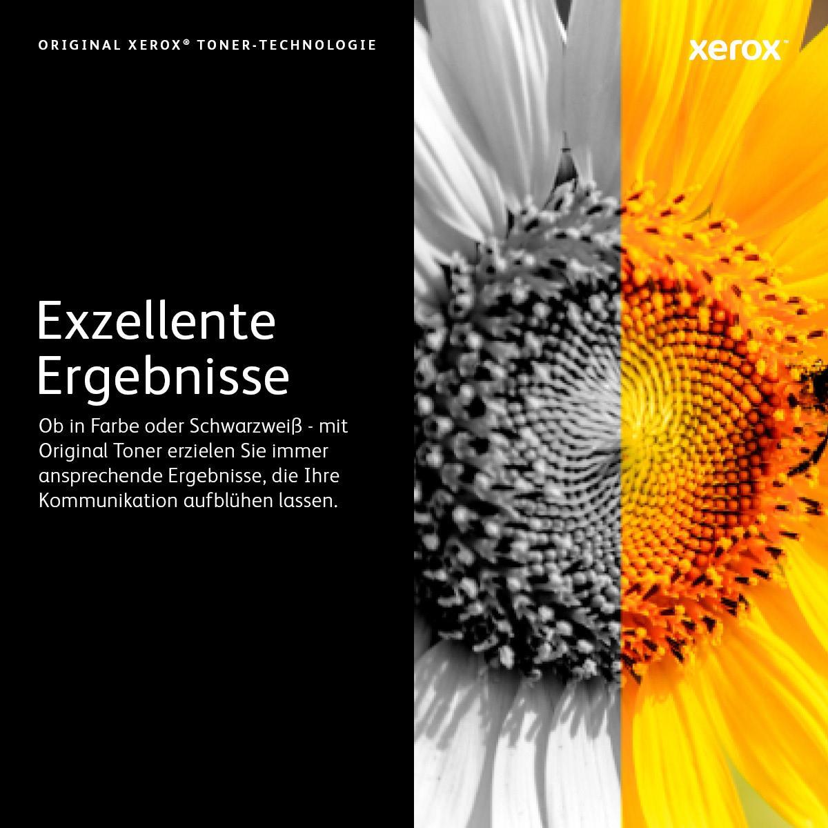 Xerox 2er-Pack Schwarz (106R02626)