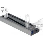 Delock Hub 13 x SuperSpeed USB3.0 (63738)