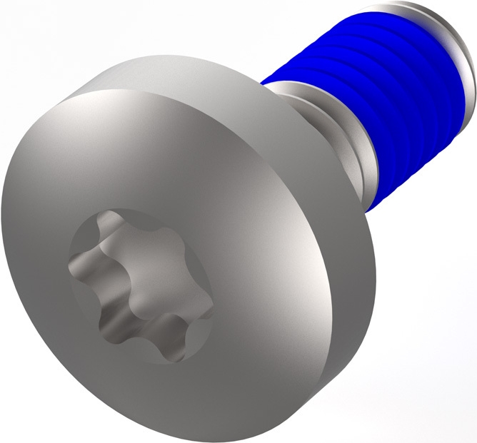 SCHROFF LIKOSCHR.TORX M4X10 (100ST) (24566103)