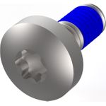 SCHROFF LIKOSCHR.TORX M4X10 (100ST) (24566103)