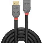 Lindy Anthra Line DisplayPort-Verlängerungskabel (36495)