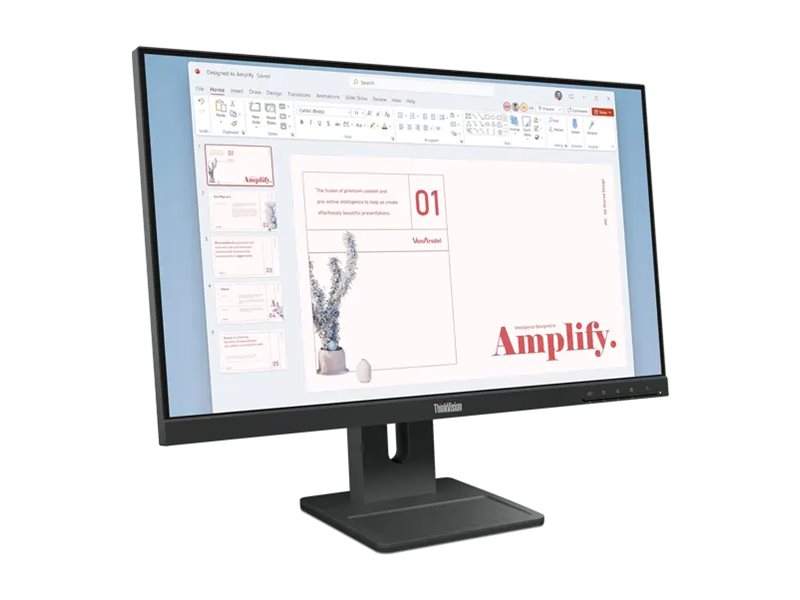 Lenovo ThinkVision E24-40 23,8" FHD IPS Monitor 100 Hz Raven Black